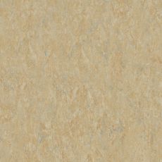 linoleum 625